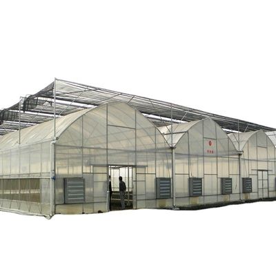 使用済みコンテナ トマト 温室用PE素材 オプション換気システム
