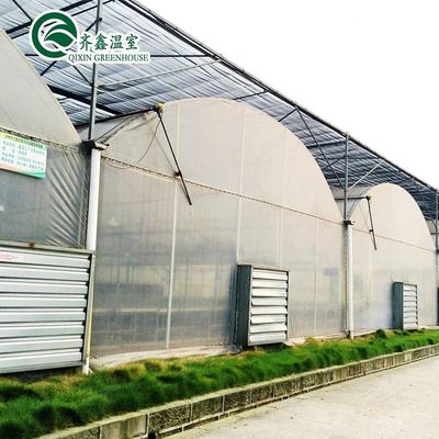 温室水産水産栽培システム 冷却と換気オプション