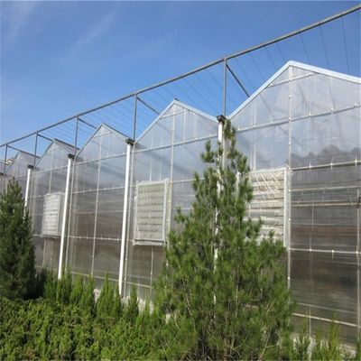 植物 の 成長 需要 に ぴったり に 適した 大きな ヴェンロ グラス 温室