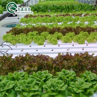 レストランの成長のためのカスタマイズされたガラス覆い野菜温室