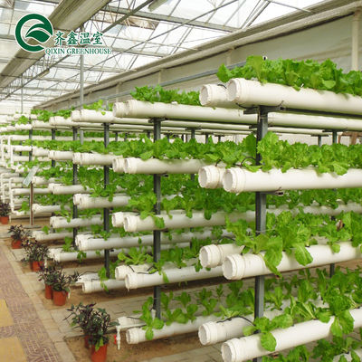 PE 温室農業用水分配給用垂直水培 NFT パイプシステム