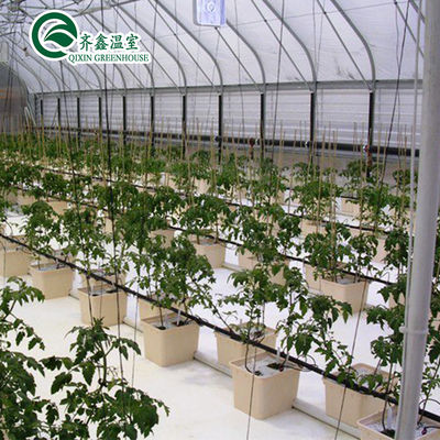 PE 温室農業用水分配給用垂直水培 NFT パイプシステム