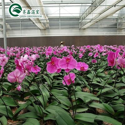 薄膜カバー 野菜 果物 植物 の 単層 栽培 の 温室