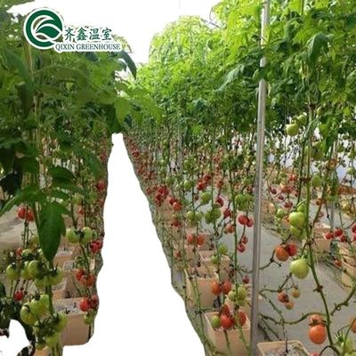農家 野菜 果物 花 を 栽培 する