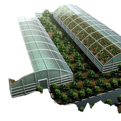 商業用水族水族館システム 野菜のためのプリファブリックPO温室