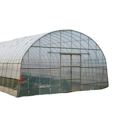 野菜 果物 花 菌類 環境に優しい栽培のための家