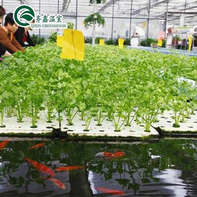 野菜 果物 花 水培システム 多期農業温室 生産量