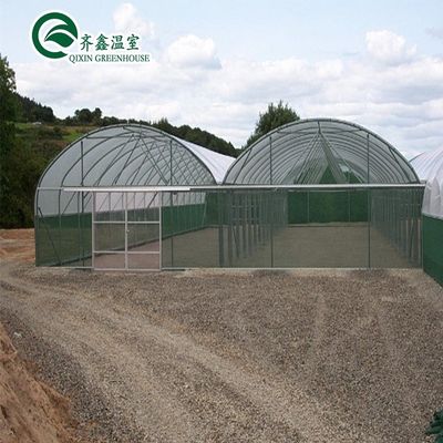 30 x 100 野菜栽培用フィルムで覆われた多スパンアーチ温室