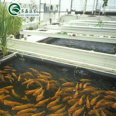 鋼鉄構造 野菜 果物 花を栽培する温室