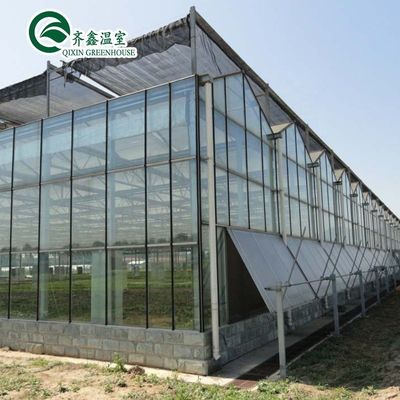 鋼鉄構造 野菜 果物 花を栽培する温室
