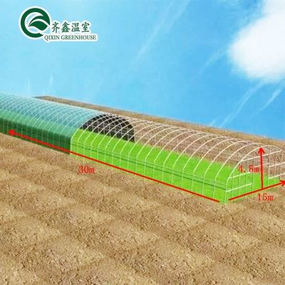 熱電熱アルミ鋼構造 冷却温室 レタスを栽培する