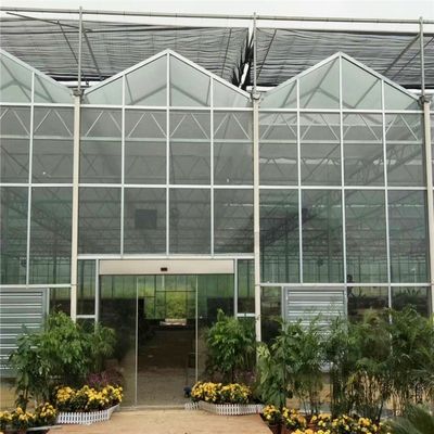 植物 の 成長 需要 に ぴったり に 適した 大きな ヴェンロ グラス 温室