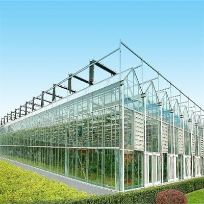 植物 の 成長 需要 に ぴったり に 適した 大きな ヴェンロ グラス 温室