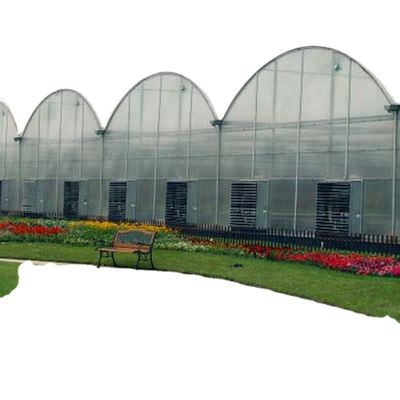 30 x 100 野菜栽培用フィルムで覆われた多スパンアーチ温室