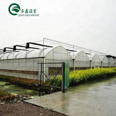 野菜,果物,花の最大成長のための大型水栽培ポンプ