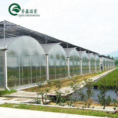 野菜,果物,花の最大成長のための大型水栽培ポンプ