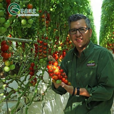 野菜,果物,花の最大成長のための大型水栽培ポンプ