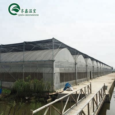 野菜,果物,花の最大成長のための大型水栽培ポンプ