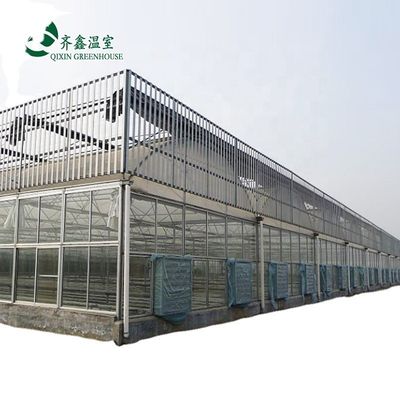 野菜,果物,花を栽培するための二層緑地