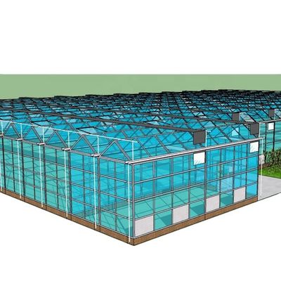 野菜 果物 花 水培システム 多期農業温室 生産量