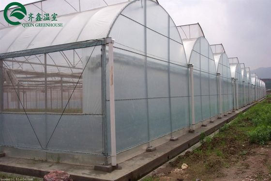 野菜,果物,花を栽培するための二層緑地