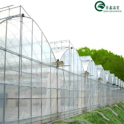 野菜,果物,花を栽培するための二層緑地