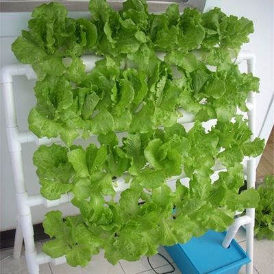 垂直農業のための究極の解決策
