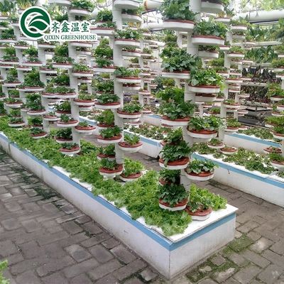 温室用室内水培栽培システム