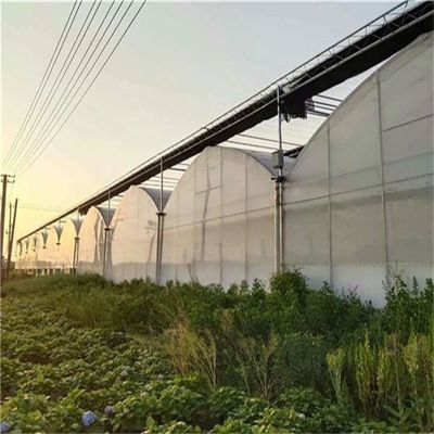 PO 農業のための単層温室 農業生産を促進する