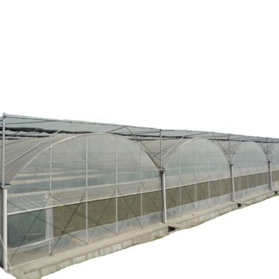 温室内のトマトやその他の野菜の最適生長のための換気口